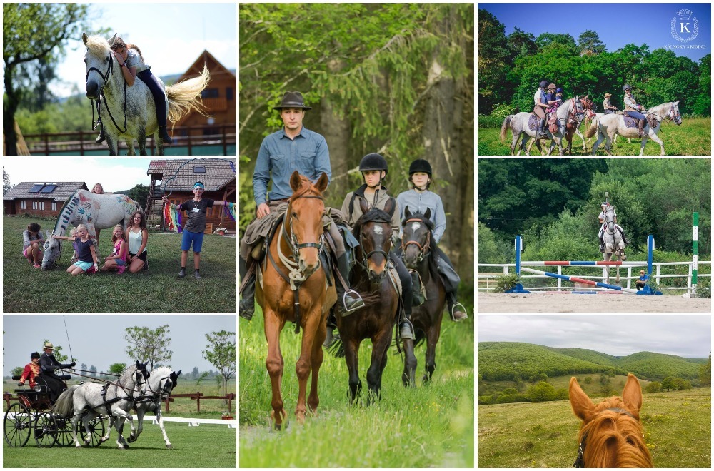 The best equestrian centres in Covasna County