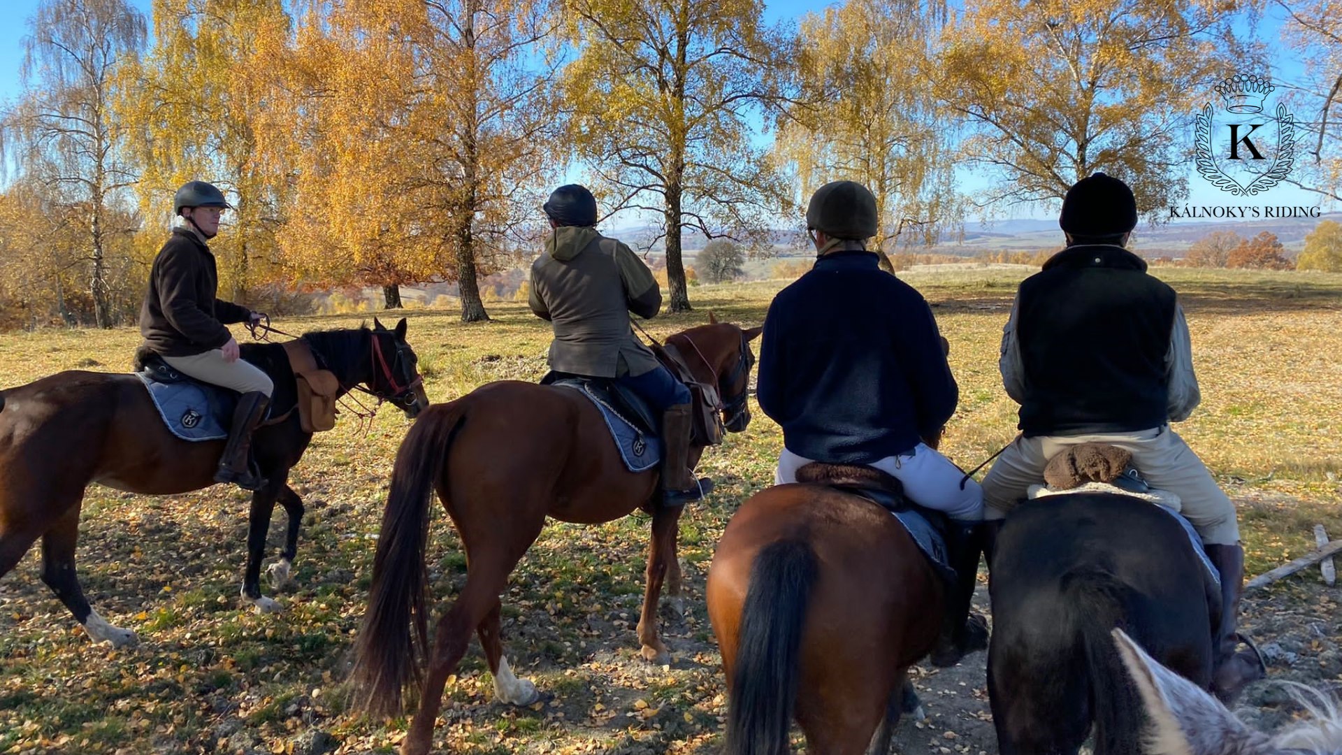 Day trip on horseback in the Baraolt Mountains