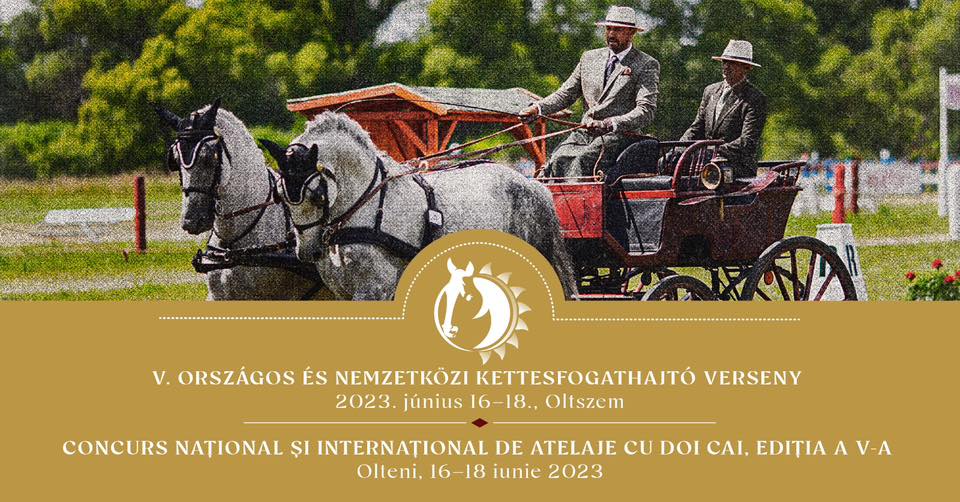 International carriage driving competition