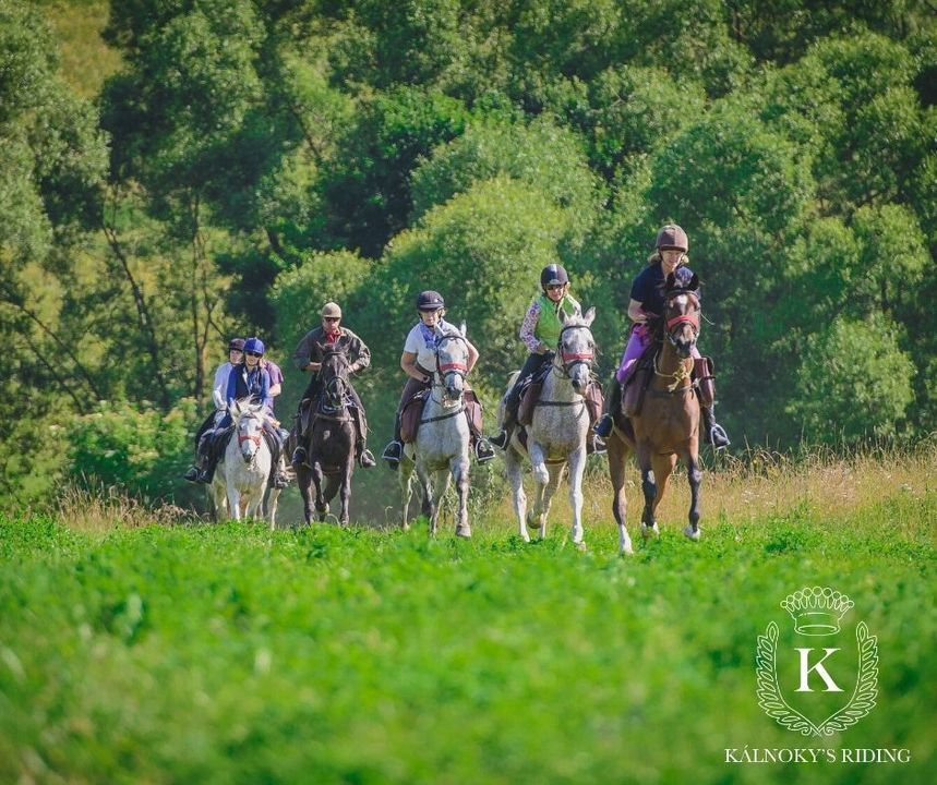 Count Kálnoky’s Transilvanian Equestrian Center