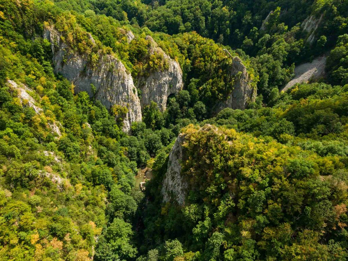 The Nature Reserve Vârghiș Gorges  