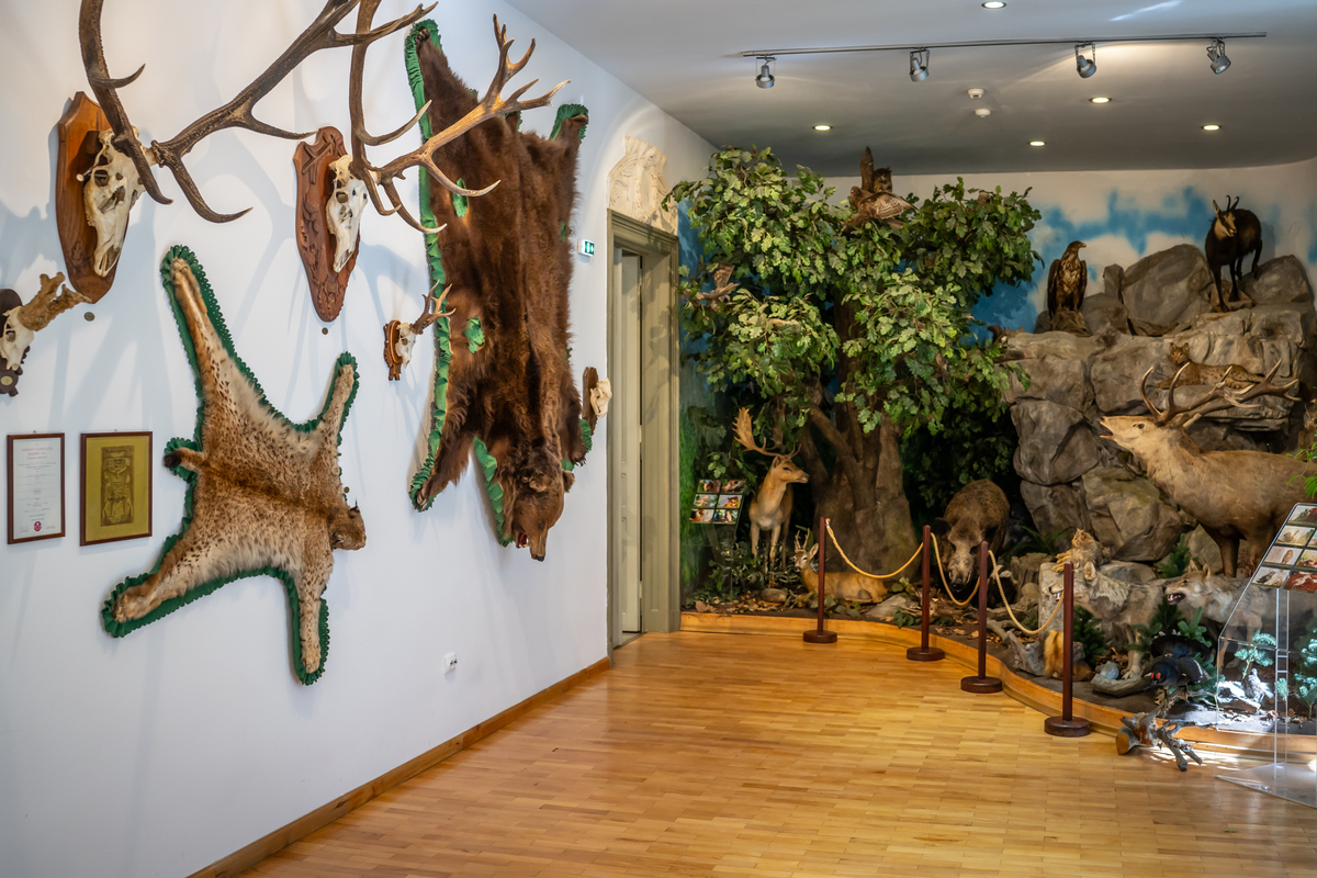The Hunting Exhibition of Szeklerland